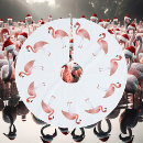 Recherche de flamant rose jupon de sapin Plage