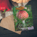 Recherche de brouillard photographie Photographie de la nature