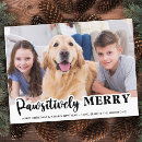 Zoek naar honds briefkaarten Foto