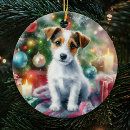 Recherche de jack russell terrier Mignon
