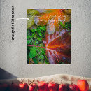 Recherche de forêt rouge posters Rustique