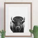 Recherche de bison de buffle posters Portrait