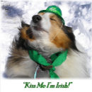 Zoek naar sint schorten Geluk