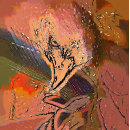 Recherche de hawk puzzles Animaux