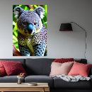 Recherche de de koala art Mammifère