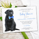 Recherche de puppy baby shower Chien