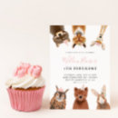 Recherche de partie hibou invitations Fête d'anniversaire