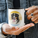 Recherche de berner tasses Bernese mountain dog