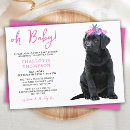 Recherche de labrador invitations Chien