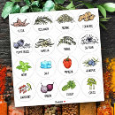 Zoek naar paprika stickers Specerijen