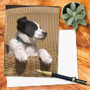 Recherche de jolies cartes postales Rater