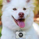 Recherche de baby animaux articles Dog
