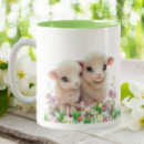 Recherche de agneau mignon tasses Mouton