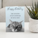 Zoek naar grappige kat kaarten Humor