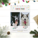 Recherche de deux chiens vœux cartes Vacances