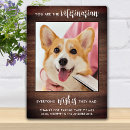 Zoek naar dierenarts geschenken Schattig