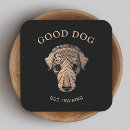 Recherche de toilettage de chien cartes visite Assise