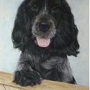 Recherche de espion puzzles Pour tous