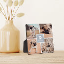 Recherche de empreintes pattes plaques Dogs