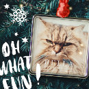 Recherche de family name ornements Pet