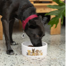 Zoek naar hondenvoerbakjes Corgi