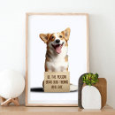 Zoek naar grappige honden kunst Motivatie