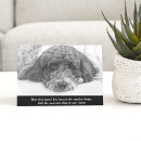 Recherche de pet loss vœux cartes Condolence