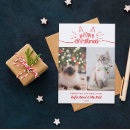 Recherche de deux chats vœux cartes Vacances