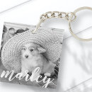 Recherche de féeries accessoires Anniversaire