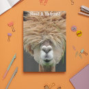 Recherche de liste cartes postales Professionnel