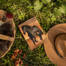 Recherche de étalon cartes postales Ferme