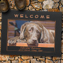 Recherche de chien de labrador terrasses jardins Accueil