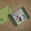 Recherche de lamas cartes postales Pour elle