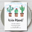 Zoek naar cactussen Modern