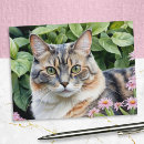 Recherche de joli minou Contenu génératif