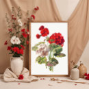 Zoek naar rode geranium posters Natuur