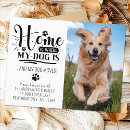 Recherche de nouvelle maison cartes postales Animal