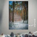 Recherche de conscience photographie Photographie de la nature