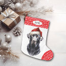 Recherche de labradors chaussette de noël Dogs
