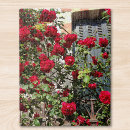 Recherche de rose rouge puzzles Pour tous