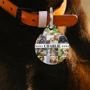 Recherche de collage animaux articles Pour animaux