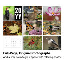 Recherche de ann photographie Pour tous