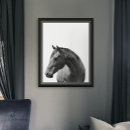 Recherche de cheval noir et blanc posters Moderne