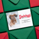 Recherche de humour chien cartes postales Photo de chien