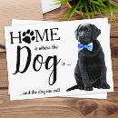 Zoek naar moving announcement briefkaarten Hond