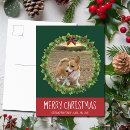 Recherche de noël de chien cartes postales Festif