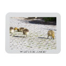 Recherche de dejeuner magnets Oiseau