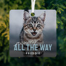 Recherche de chat drôle ornements Photo de l'animal