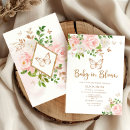 Recherche de papillon de bébé invitations Baby