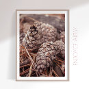 Recherche de sapins posters Pour elle